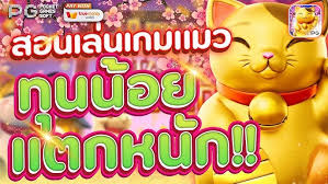 ประสบการณ์การเล่นเกมออนไลน์ใน 'kinglive22 pg